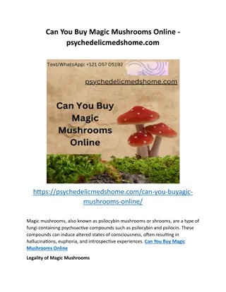 Can You Buy Magic Mushrooms Online - psychedelicmedshome.com