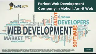 Perfect Web Development Company In Mohali Amrit Web