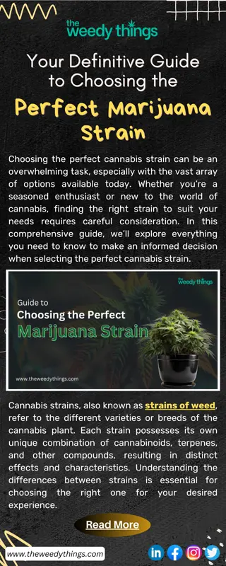 Your Definitive Guide to Choosing the Perfect Marijuana Strain