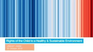 Rights of the Child to a Healthy & Sustainable Environment