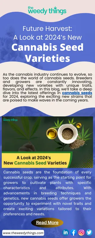 Future Harvest A Look at 2024’s New Cannabis Seed Varieties