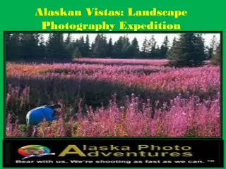 Alaskan Vistas: Landscape Photography Expedition