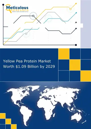 Anticipated Growth: Yellow Pea Protein Market to Reach $1.09 Billion by 2029