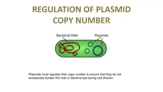 REGULATION OF PLASMID COPY NUMBER