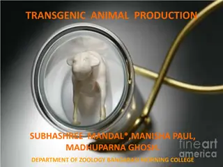 Transgenic Animal Production
