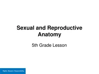 Understanding Sexual and Reproductive Anatomy in 5th Grade Lesson