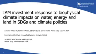 Investment Responses to Biophysical Climate Impacts on Water, Energy, and Land in SDGs and Climate Policies