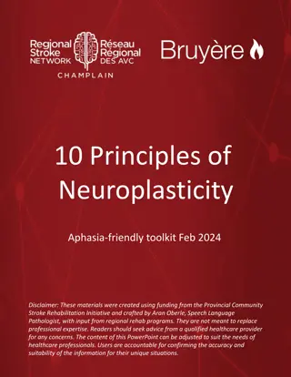 Understanding Neuroplasticity: 10 Principles for Brain Rehabilitation