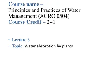 Understanding Water Absorption in Plants: Mechanisms and Implications