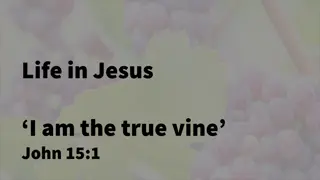 Reflections on Bearing Fruit in Jesus: John 15 and Galatians 5