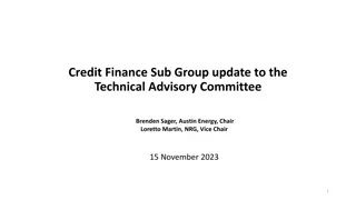 Credit Finance Sub Group update to the. Technical Advisory Committee