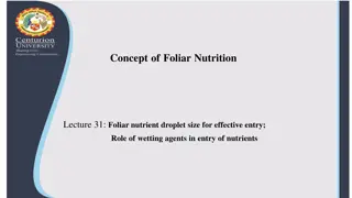 Concept of Foliar Nutrition