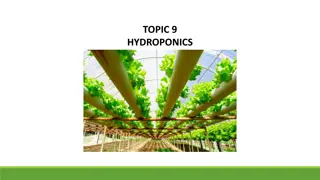Understanding Hydroponics: Methods, Advantages, and Crops