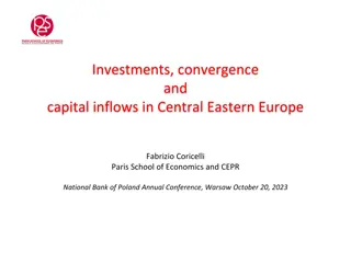 Insights into Investments and Convergence in Central Eastern Europe