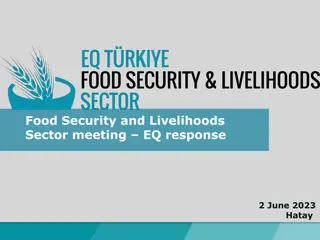 Food Security and Livelihoods Sector Meeting Response in Hatay
