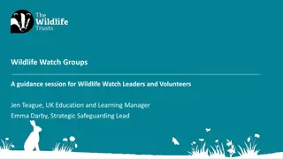 Wildlife Watch Groups Guidance Session for Leaders and Volunteers