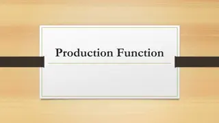 Understanding the Production Function in Economics