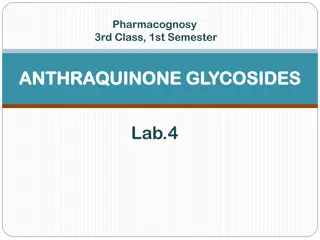 ANTHRAQUINONE GLYCOSIDES Lab.4
