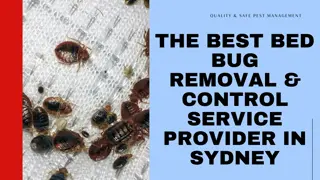 The Best Bed Bug Removal & Control Service Provider in Sydney