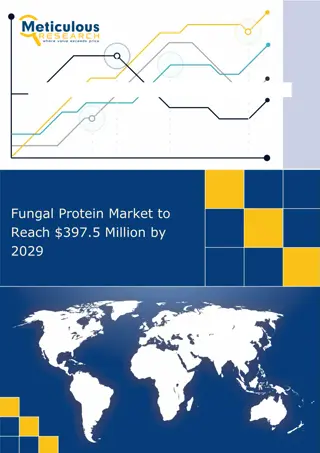 Forecasted: Fungal Protein Market to Surpass $397.5 Million by 2029