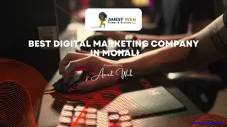 Best Digital Marketing Company  in Mohali  Amrit web