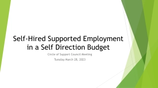 Self-Hired Supported Employment in a Self Direction Budget