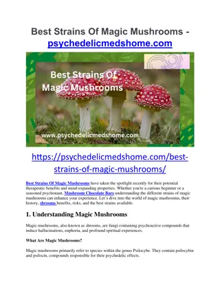 Best Strains of Magic Mushrooms - psychedelicmedshome.com