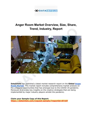 Anger Room Market Overview, Size, Share, Trend, Industry, Report