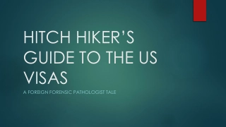 Hitch Hiker's Guide to the US Visas