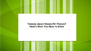 Thinking About Hidden Pet Fences Here's What You Need to Know