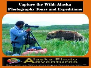 Capture the Wild: Alaska Photography Tours and Expeditions