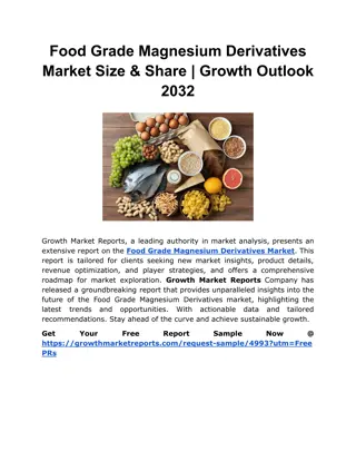 Food Grade Magnesium Derivatives Market Size & Share | Growth Outlook 2032
