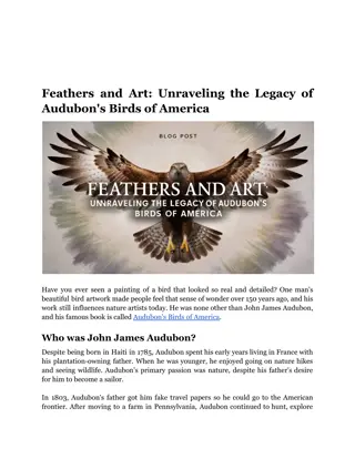 Feathers and Art: Unraveling the Legacy of Audubon's Birds of America