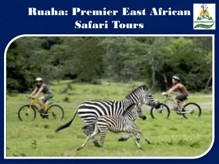 Ruaha: Premier East African Safari Tours